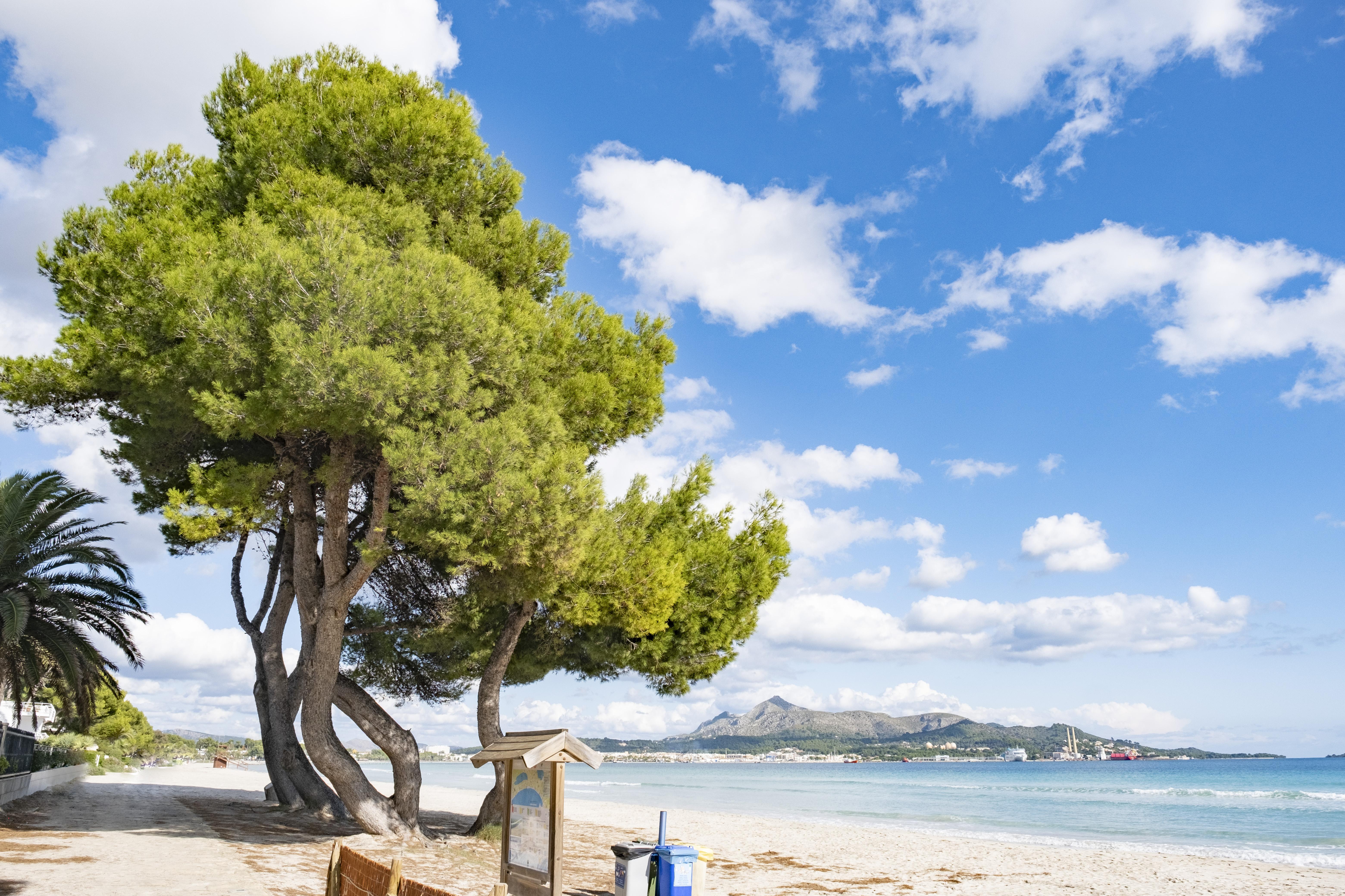 كان بيكافورت Eix Platja Daurada Hotel & Spa المظهر الخارجي الصورة
